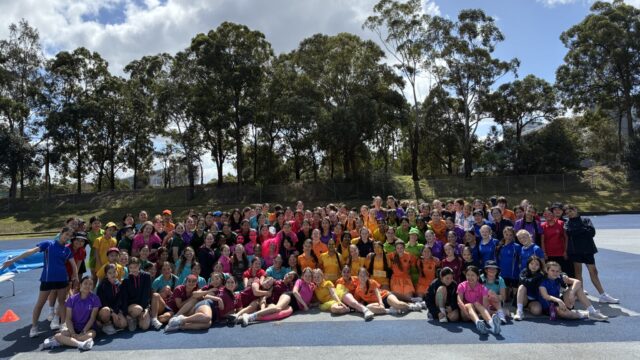 Year 8
