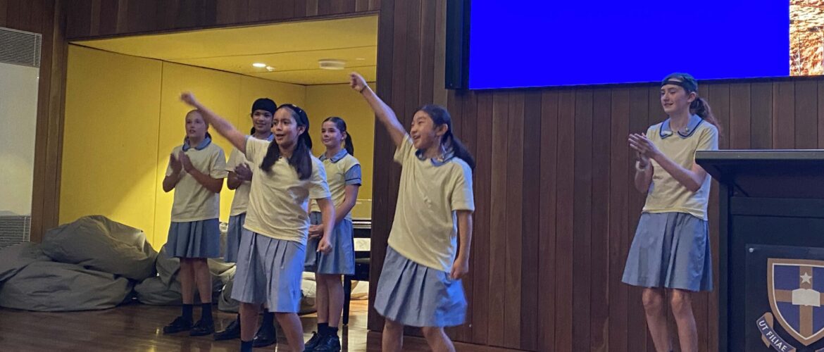Year 6 Showcase