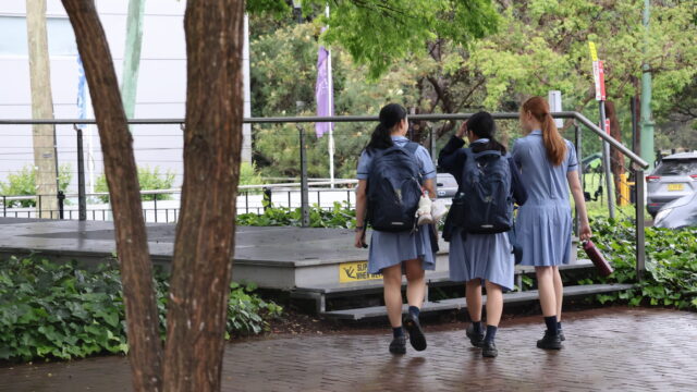 Year 7