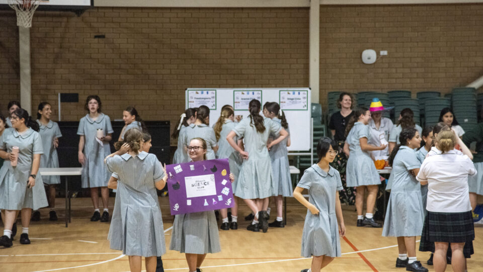 Clubs Showcase ‘Helping Students Connect and Thrive’