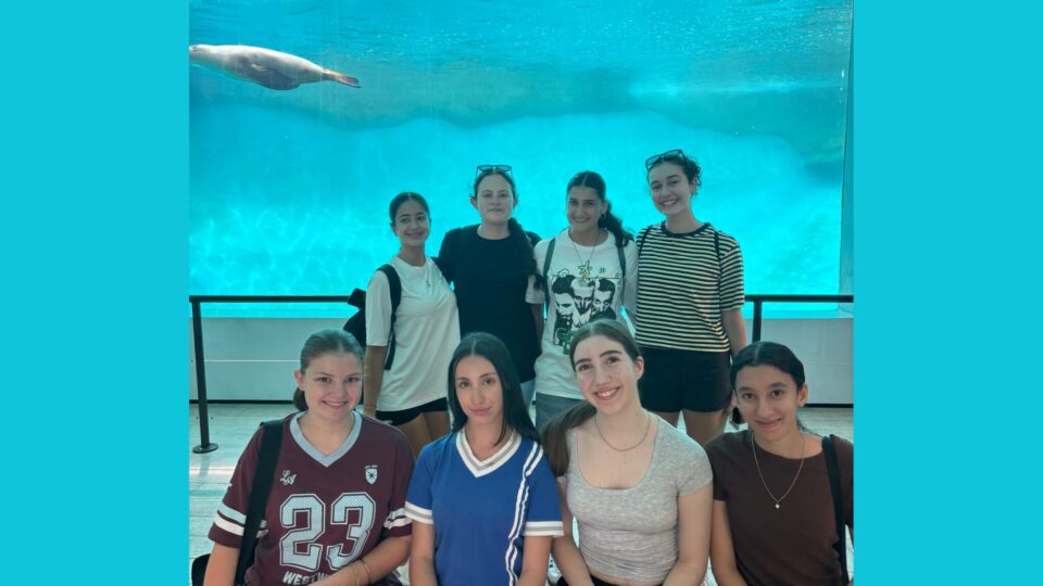 Investigating Science at Taronga Zoo