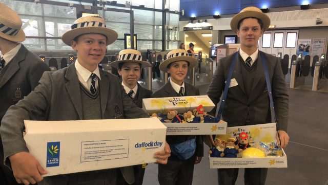 Daffodil Day