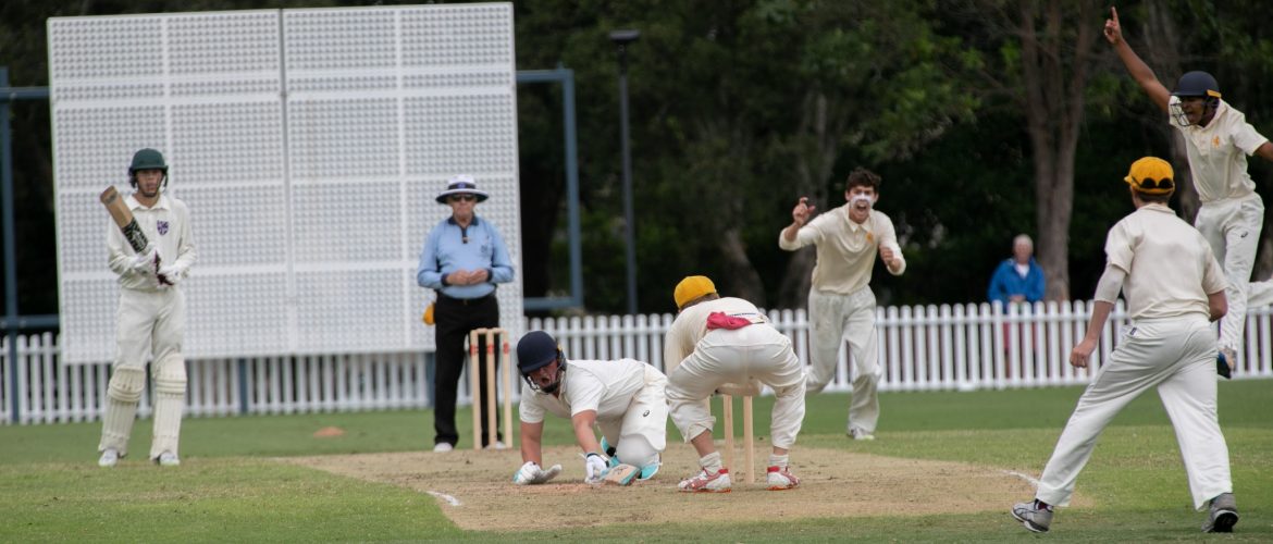 Robson House Summer Sport Wrap Up