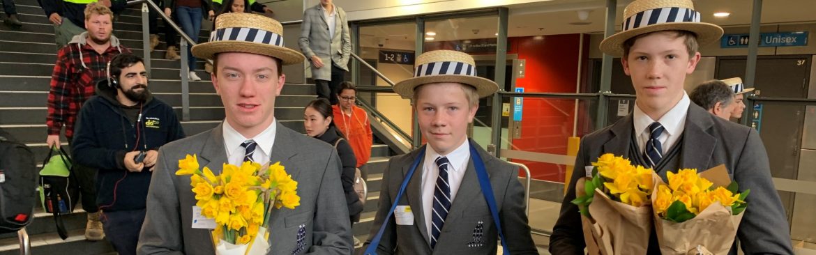 Daffodil Day