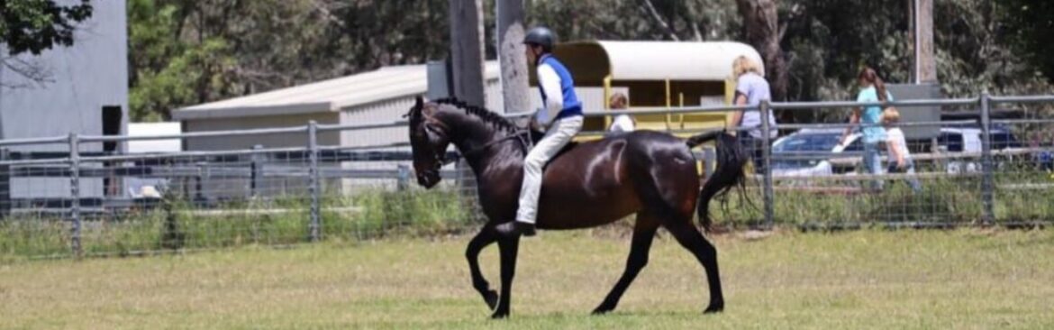 Henry and Archie Douglas-Menzies – Horse Riding Competition