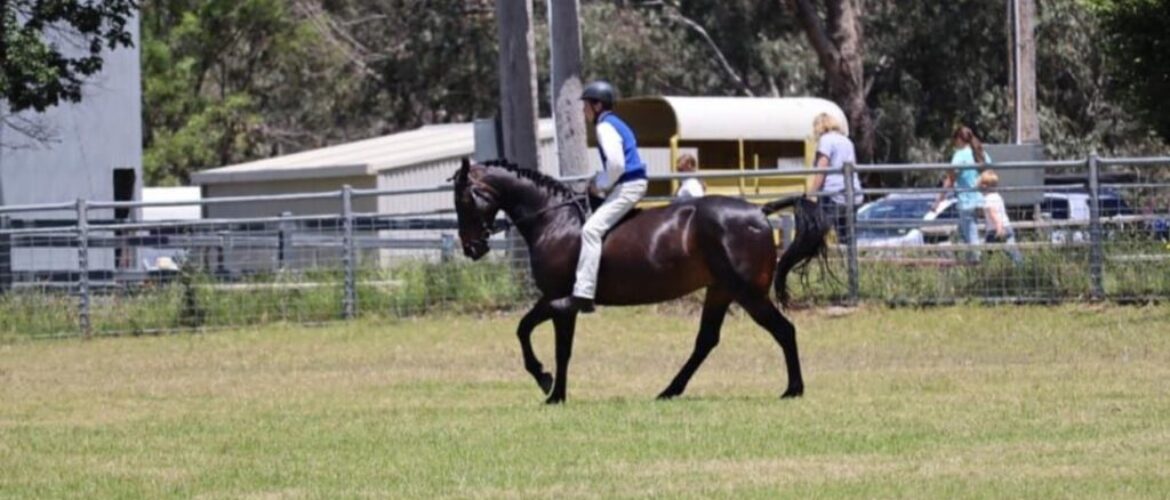 Henry and Archie Douglas-Menzies &#8211; Horse Riding Competition