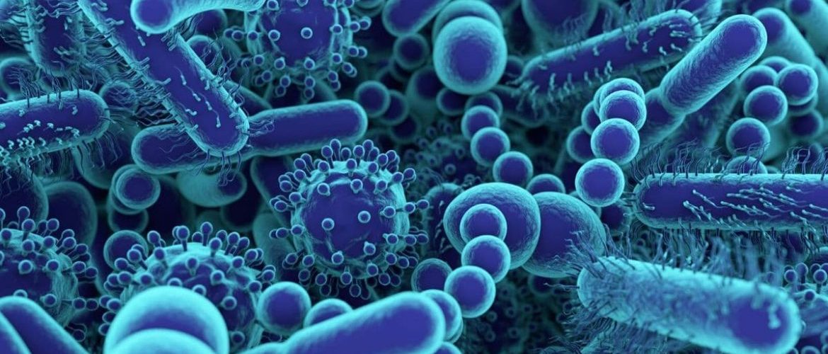 Honour Thy gut! Webinar Recording