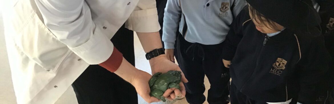 Pre-K Tour Senior School with Principal, Lisa Moloney