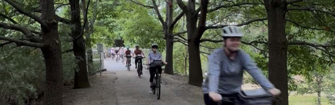 Immersive Learning at MLC School