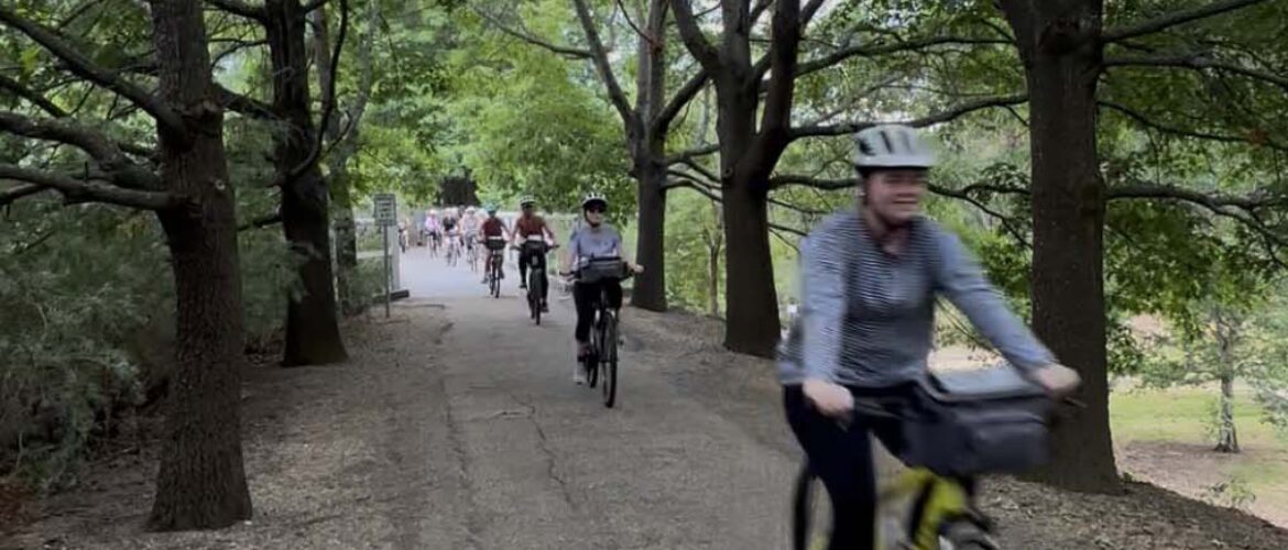 Immersive Learning at MLC School