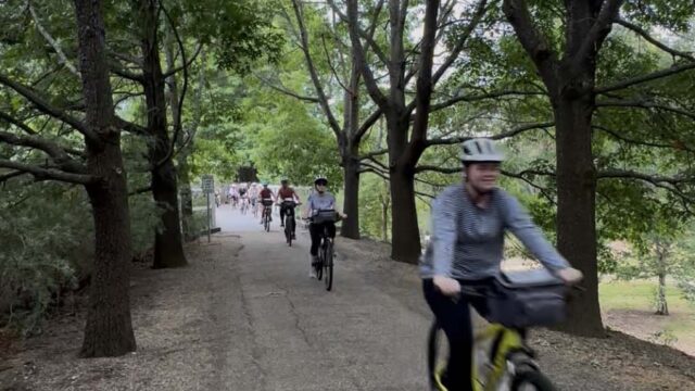 Immersive Learning at MLC School