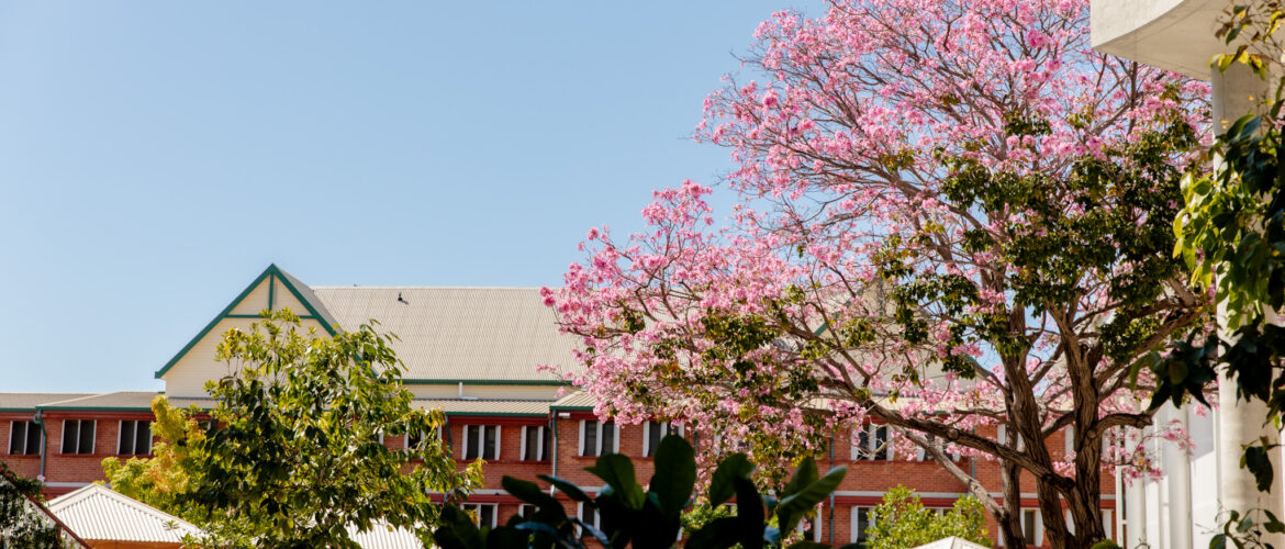 FROM THE COLLEGE PRINCIPAL