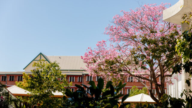 FROM THE COLLEGE PRINCIPAL