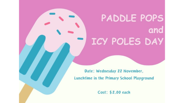 Primary School Paddle Pops and Icy Poles Day