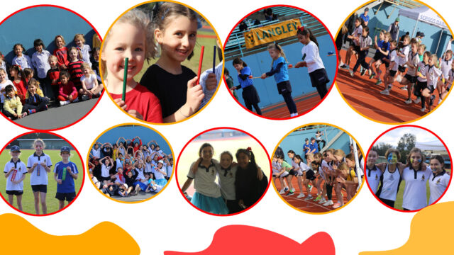 Primary Sport News