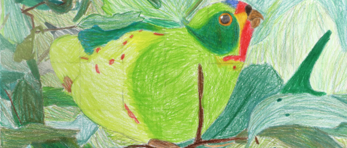 Visual Arts