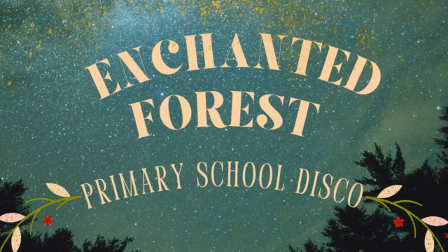 P&amp;F Primary School Discos