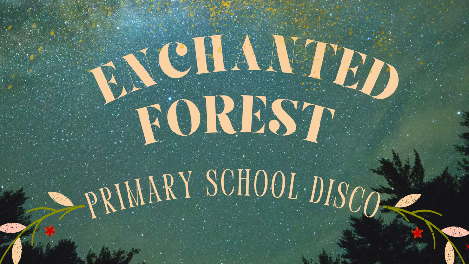 P&F Primary School Discos