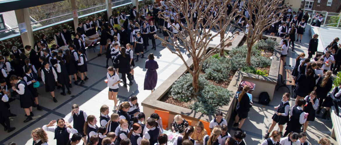 Year 10 Commerce – Market Day 2025