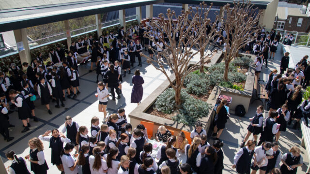 Year 10 Commerce – Market Day 2025