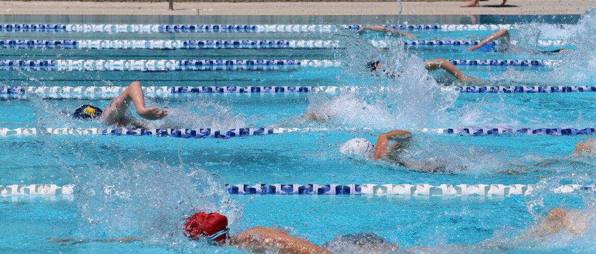 Year 2-6 Swimming Carnival