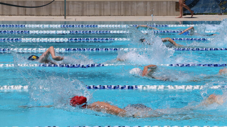 Year 2-6 Swimming Carnival