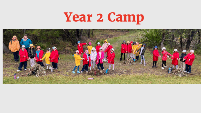 Year 2 Camp