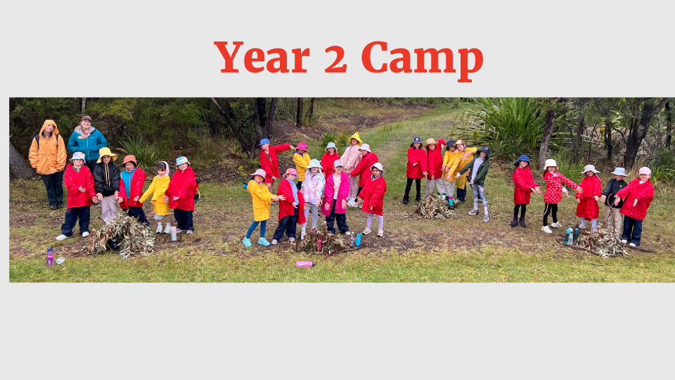 Year 2 Camp
