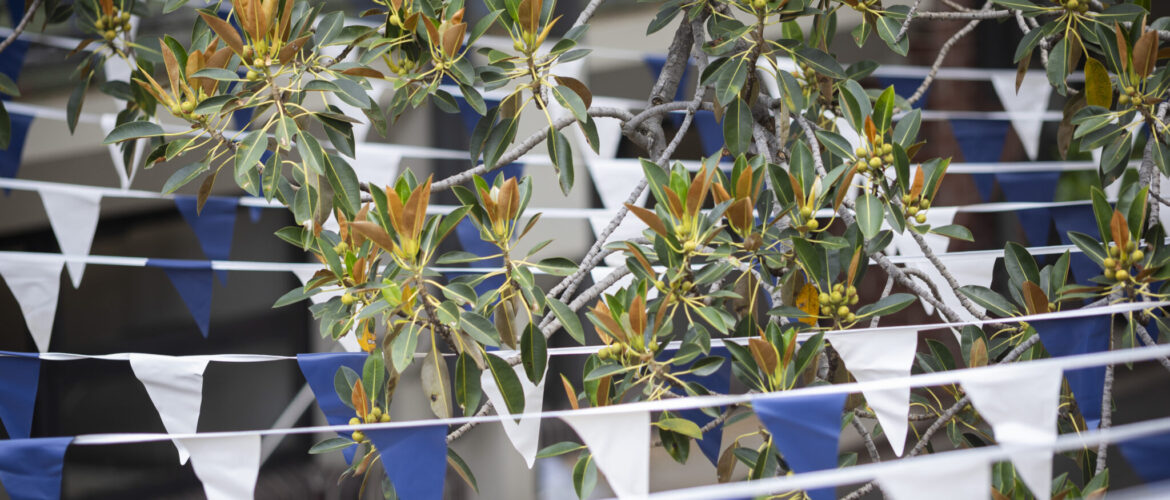 P&amp;F Committee Nominations Now Open