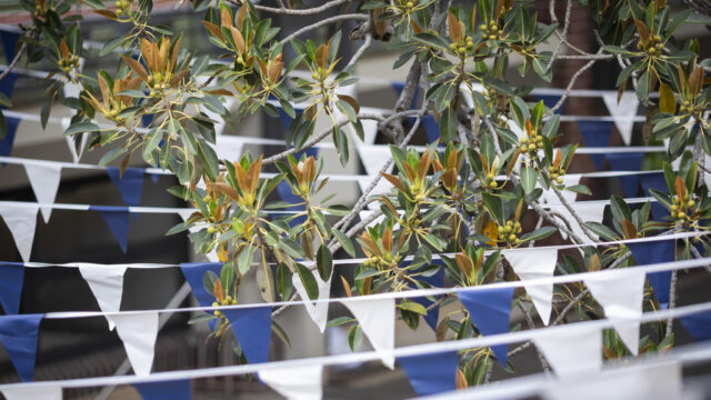 P&amp;F Committee Nominations Now Open