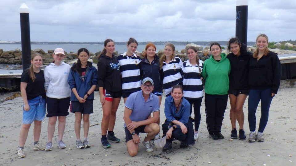 Social Sciences Fieldwork Activities