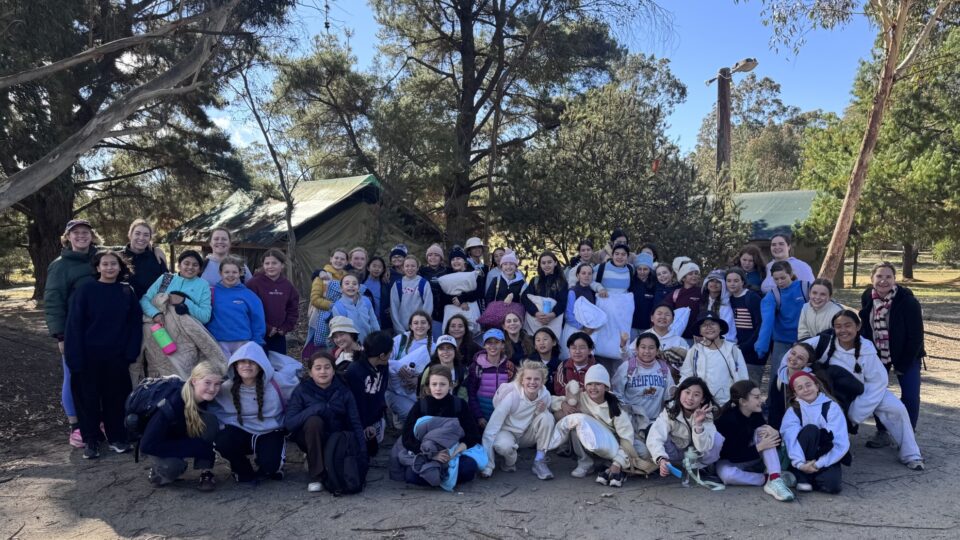 Year 6 Camp