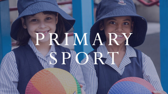 Primary Sport News