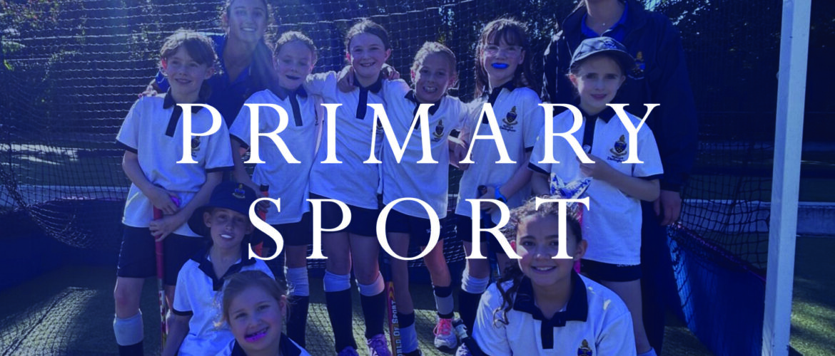 Primary Sport News