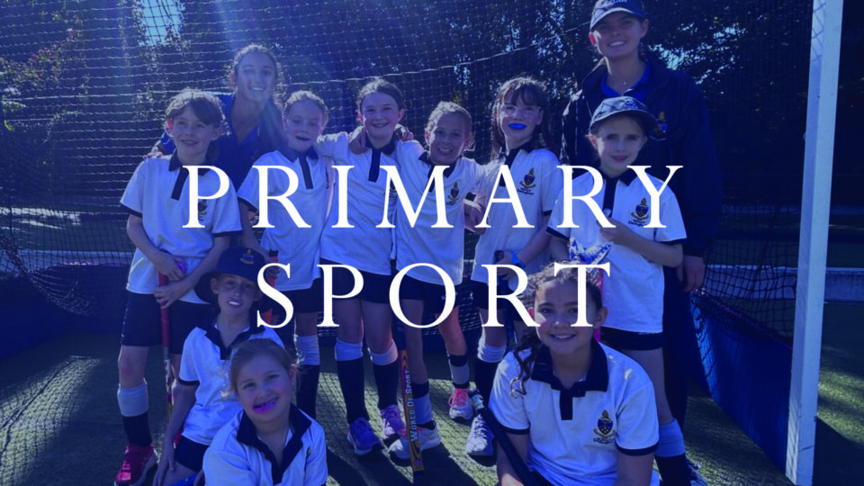 Primary Sport News