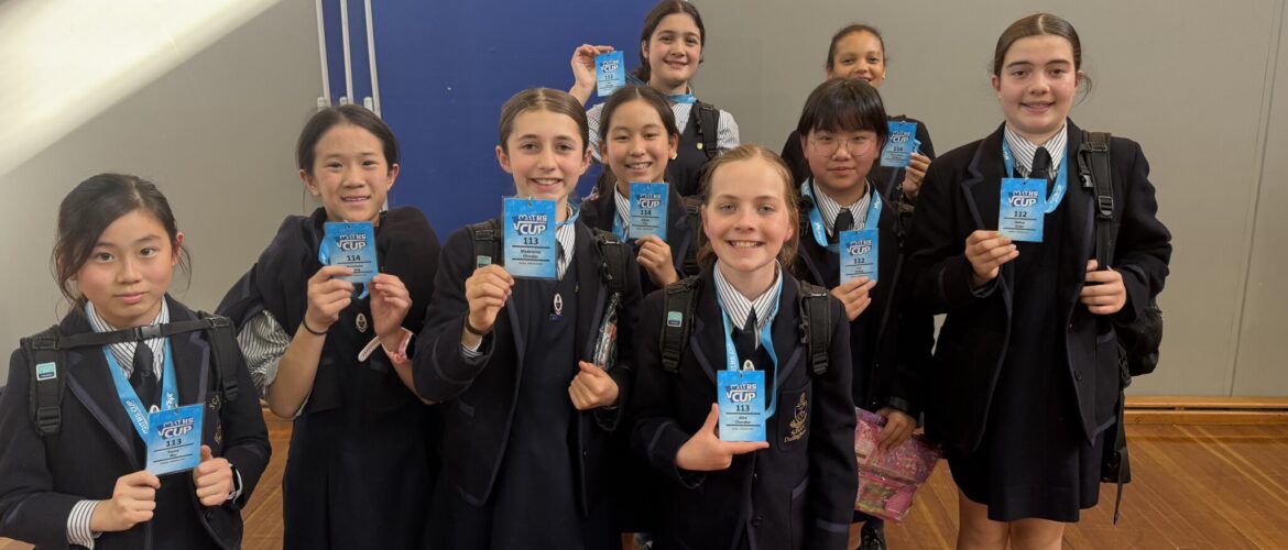 Year 6 Maths Cup