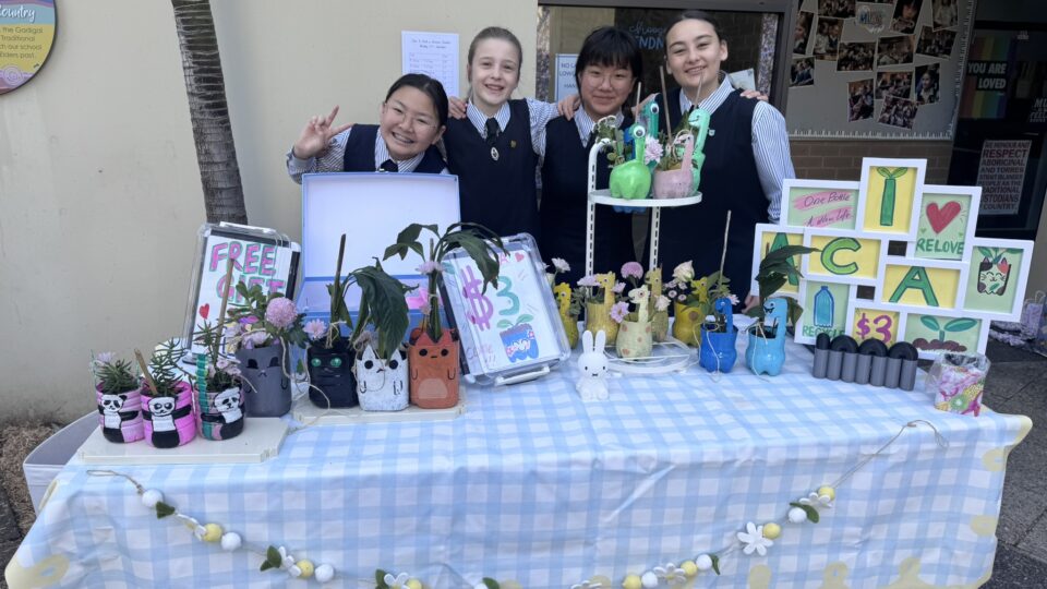 Year 6 Builds Business for a Cause