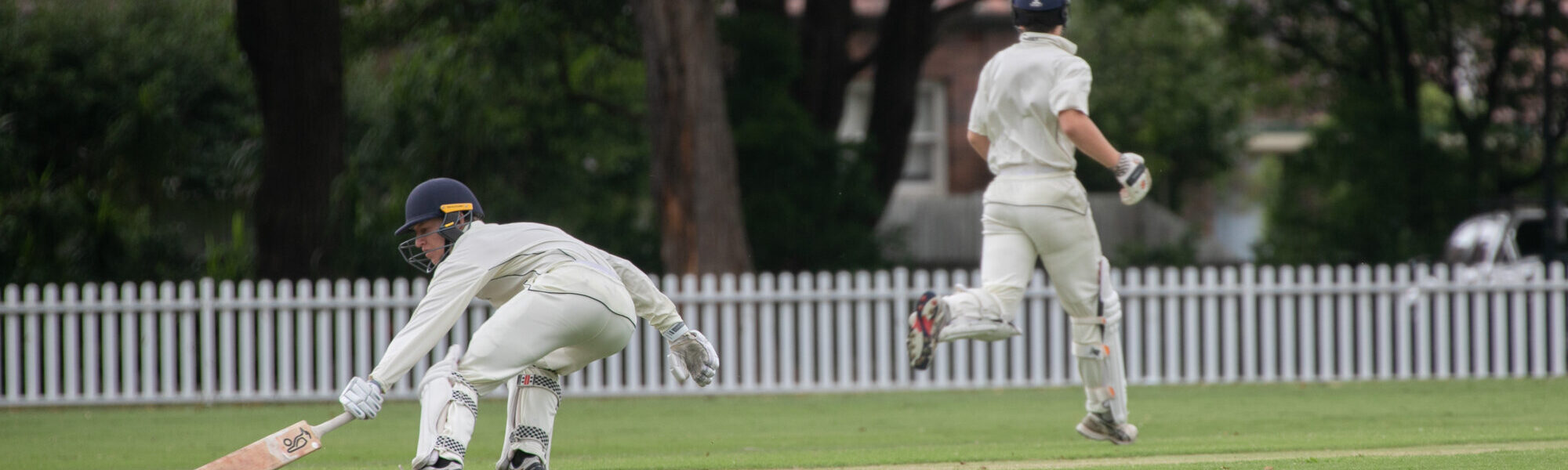 Cricket Report
