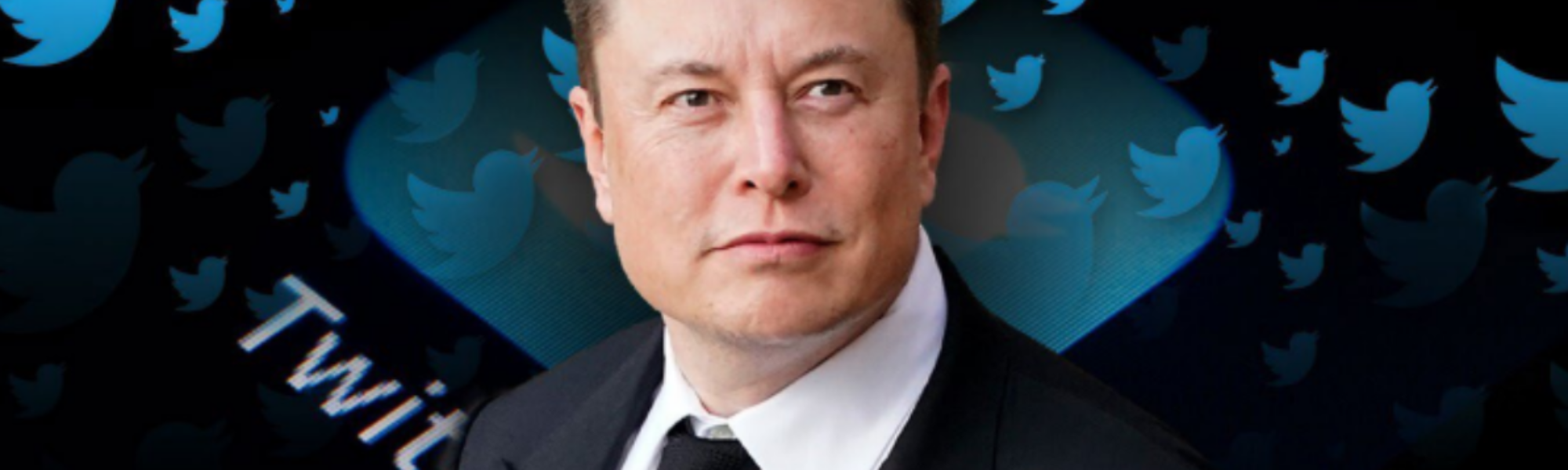 The Bird is Freed