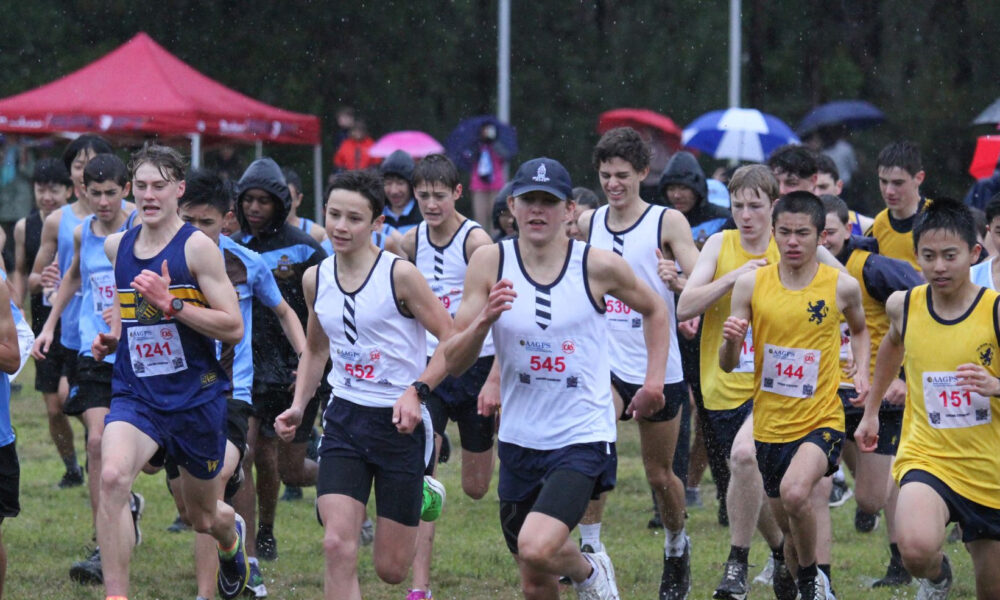 Cross Country Report
