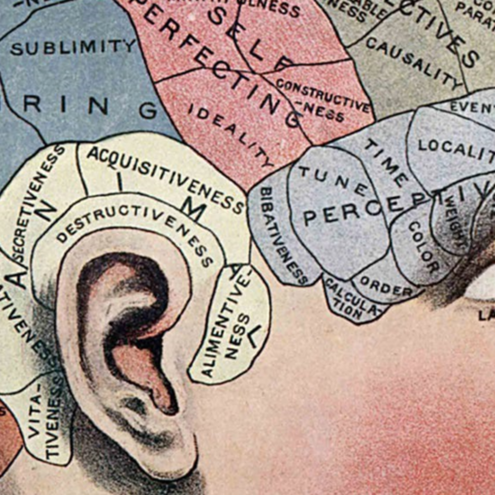 Rewire Your Brain