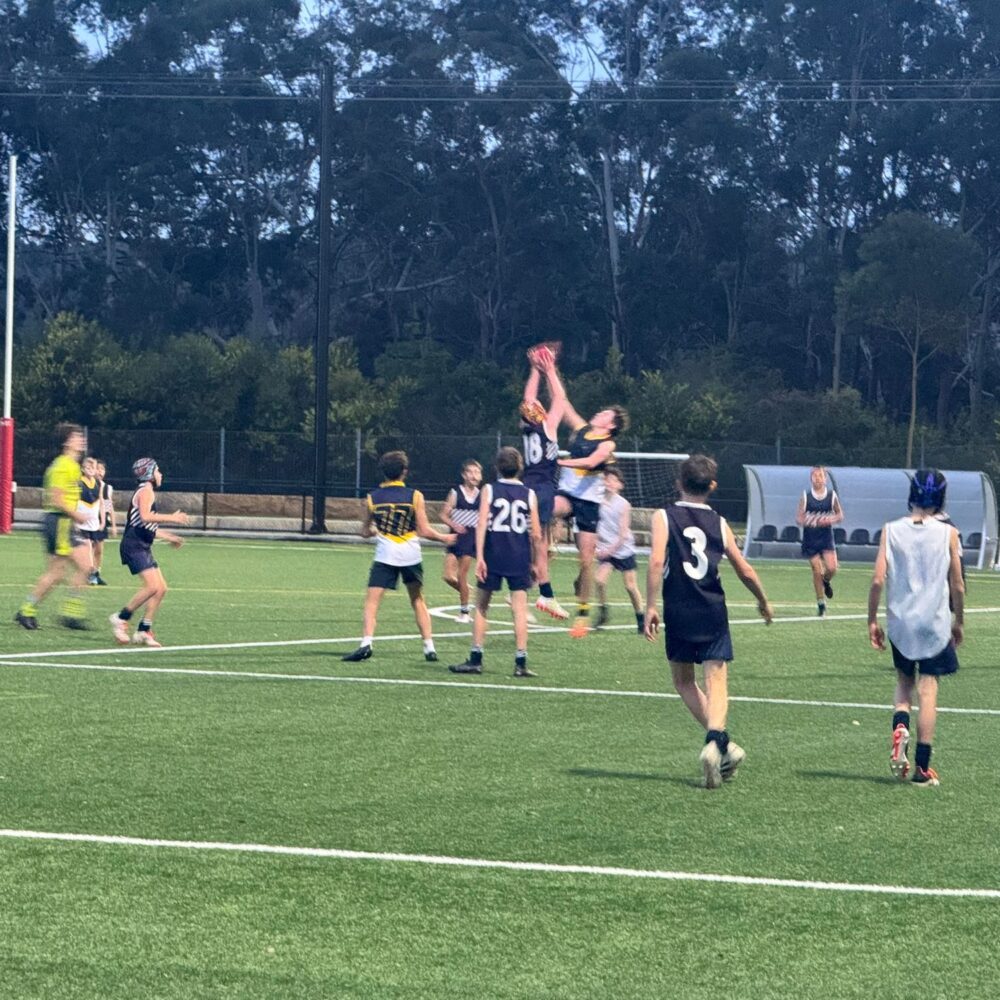 AFL Report