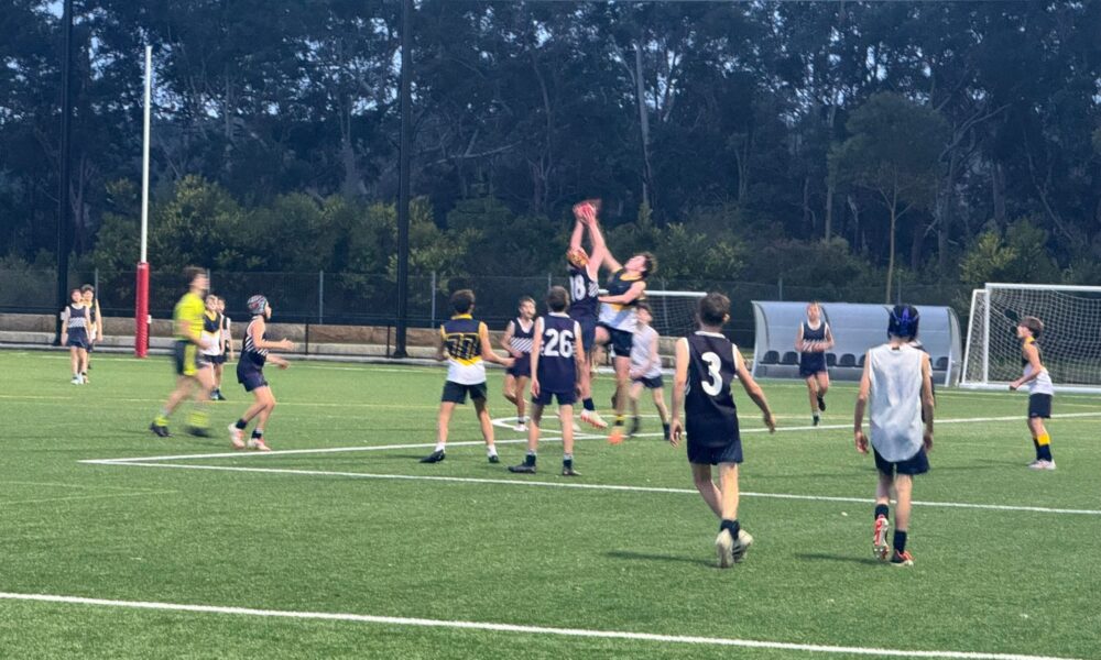 AFL Report