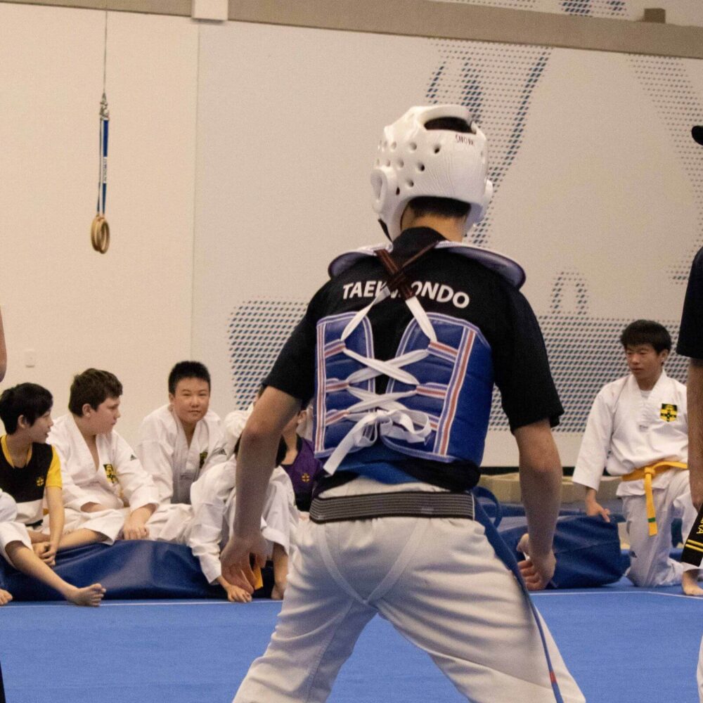Taekwondo Report