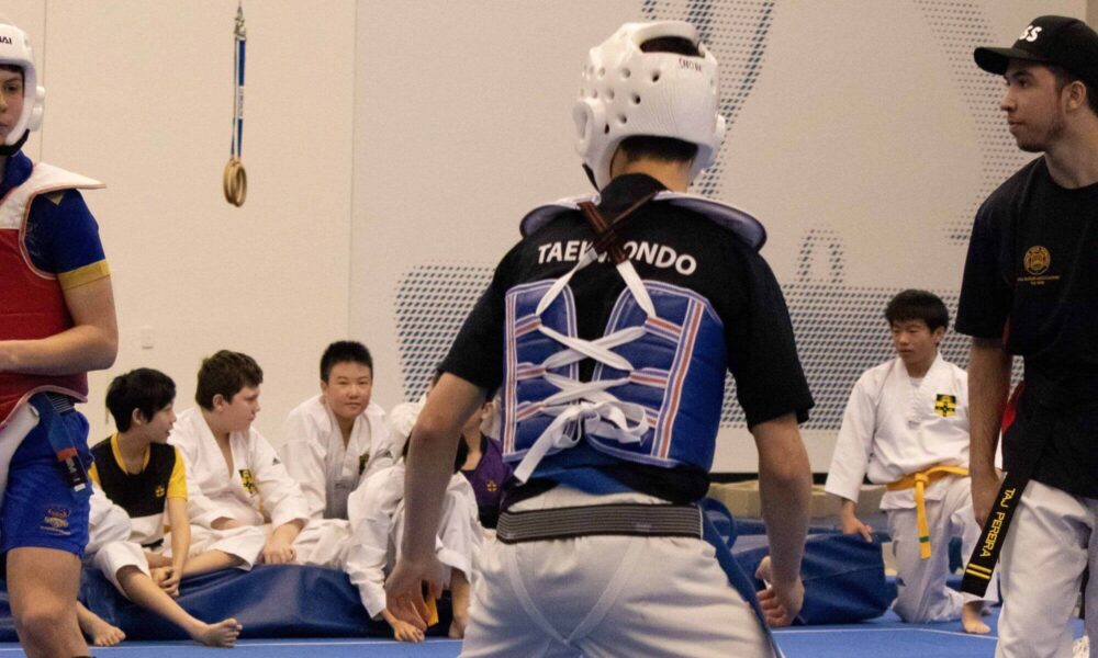 Taekwondo Report