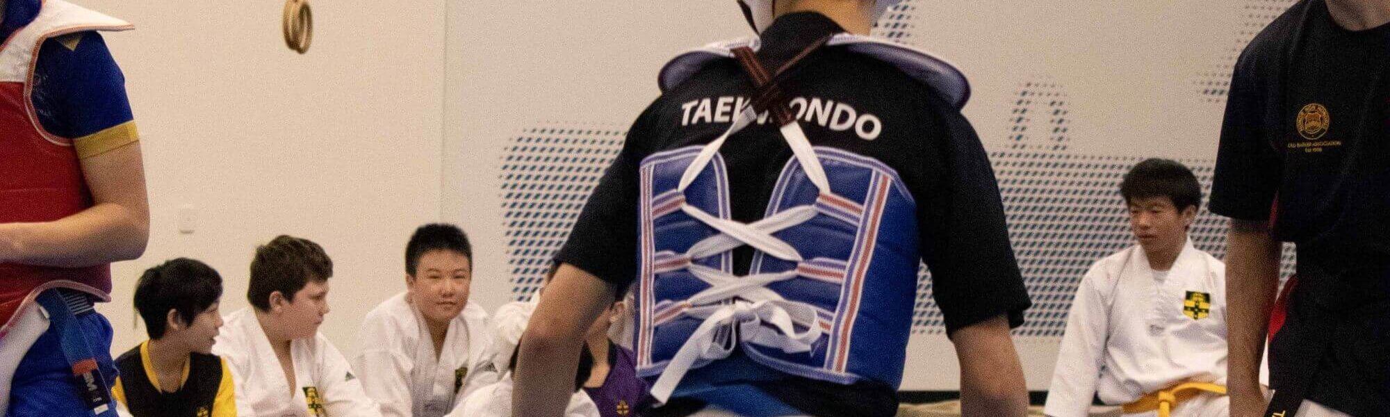 Taekwondo Report