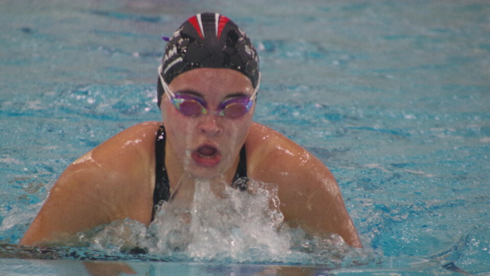 Swimming Carnival πββοΈ