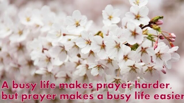Prayer ♰
