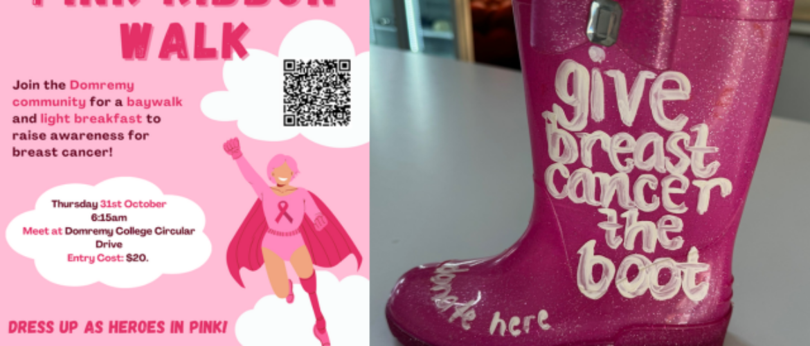 Pink Ribbon Walk &#8211; Supporting the National Breast Cancer Foundation