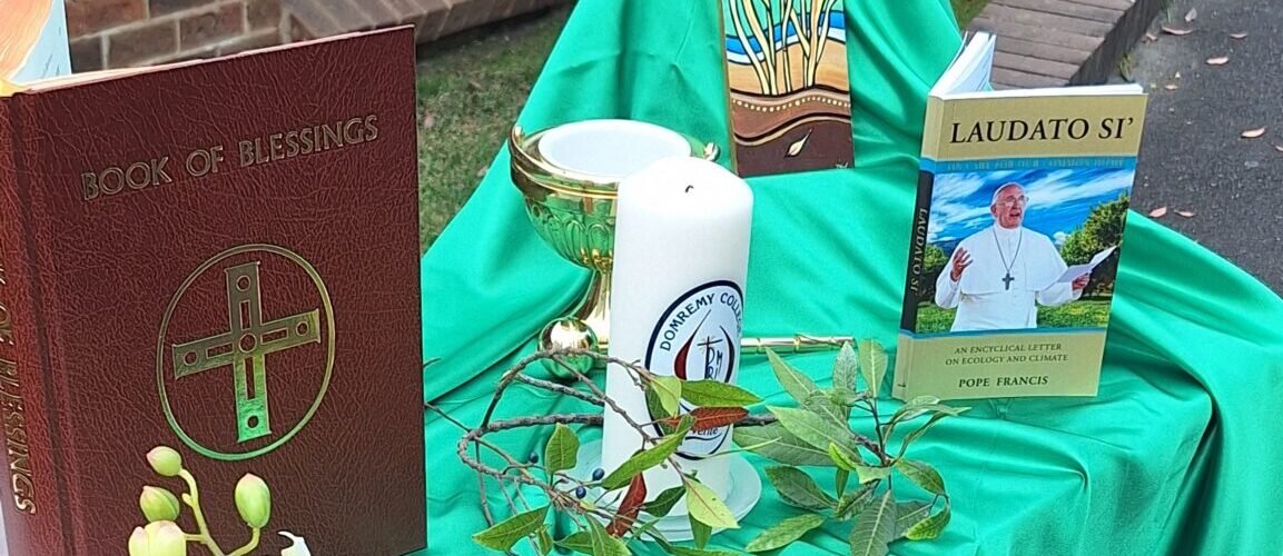 Cultivating Care: The Laudato Si’ Garden Opening and Blessing
